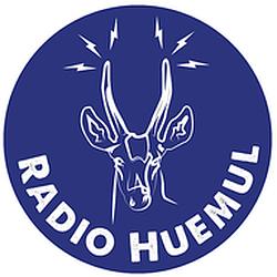 Radio Huemul