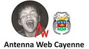 Antenna Web Cayenne