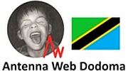 Antenna Web Dodoma