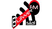 Bulwer FM