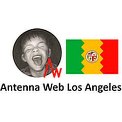 Antenna Web Los Angeles