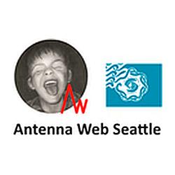 Antenna Web Seattle